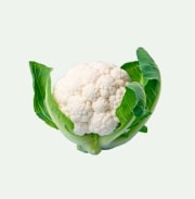 Fresh Radish Microgreens grown in Williamsport Pennsylvania microgreen farm