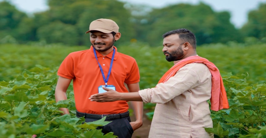 Fresh microgreens growing in Williamsport Pennsylvania indoor farm